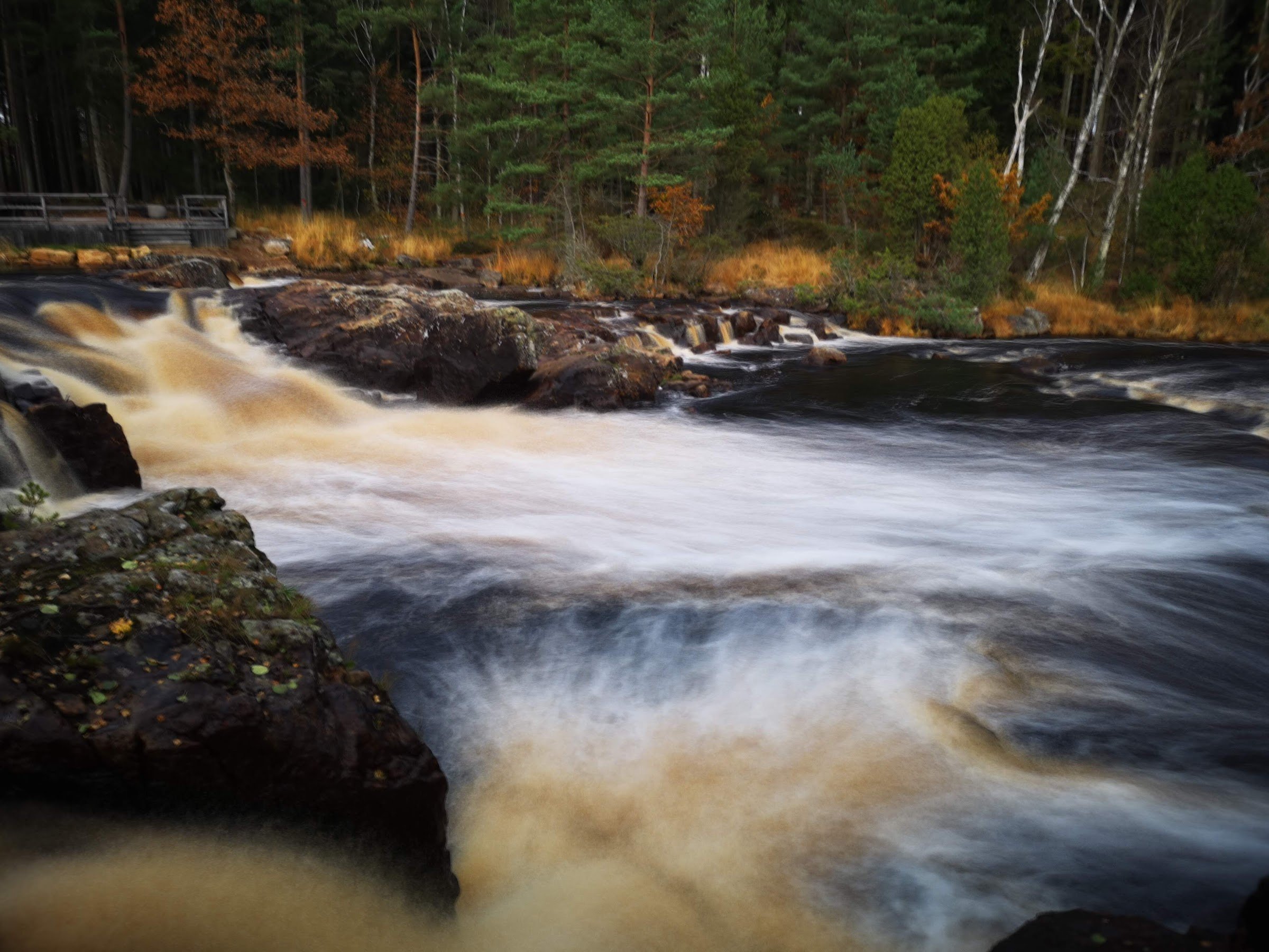 Kvarnfallet (Kvarnfallet i Knäred)